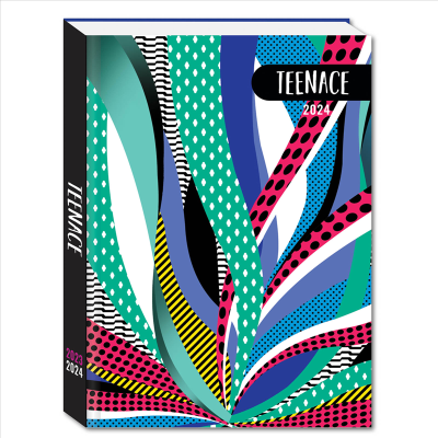 DIARIO STD 12 MESI TEX TEENACE  COLLEZIONE SCUOLA 2023/2024