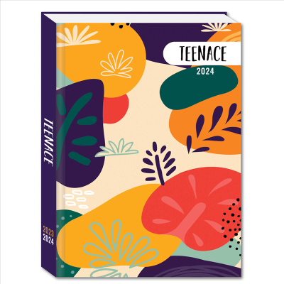 DIARIO STD 12 MESI TEX TEENACE  COLLEZIONE SCUOLA 2023/2024