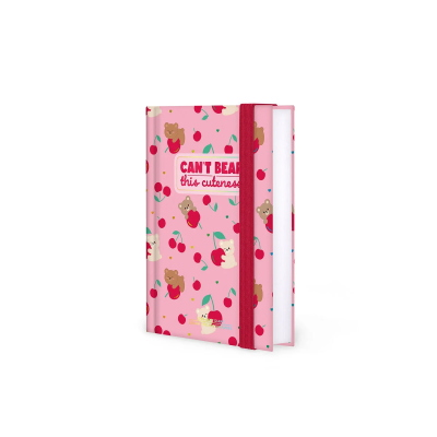 AGENDA DIARIO 16 MONTH DIARY 2027 - TEDDY BEAR LEGAMI