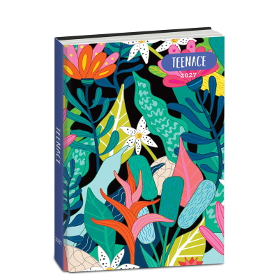 DIARIO STADARD 12 MESI TEENACE COLLEZIONE SCUOLA