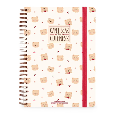 QUADERNO MAXI  CON SPIRALE 1R TEDDY BEAR LEGAMI