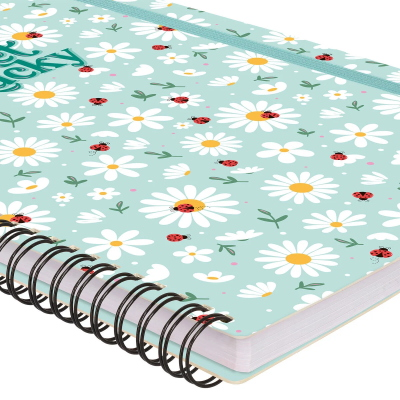 QUADERNO MAXI CON SPIRALE 1R LADYBUG LEGAMI